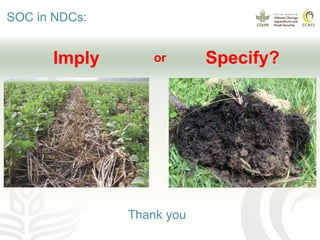 Soil organic carbon in nationally determined contributions (NDCs)