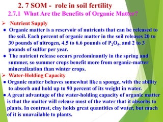 2. 7 SOM - role in soil fertility
2.7.1 What Are the Benefits of Organic Matter?
 Nutrient Supply
● Organic matter is a reservoir of nutrients that can be released to
the soil. Each percent of organic matter in the soil releases 20 to
30 pounds of nitrogen, 4.5 to 6.6 pounds of P2O5, and 2 to 3
pounds of sulfur per year.
● The nutrient release occurs predominantly in the spring and
summer, so summer crops benefit more from organic-matter
mineralization than winter crops.
 Water-Holding Capacity
● Organic matter behaves somewhat like a sponge, with the ability
to absorb and hold up to 90 percent of its weight in water.
● A great advantage of the water-holding capacity of organic matter
is that the matter will release most of the water that it absorbs to
plants. In contrast, clay holds great quantities of water, but much
of it is unavailable to plants.
 