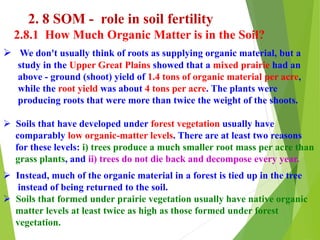 2. 8 SOM - role in soil fertility
2.8.1 How Much Organic Matter is in the Soil?
 We don't usually think of roots as supplying organic material, but a
study in the Upper Great Plains showed that a mixed prairie had an
above - ground (shoot) yield of 1.4 tons of organic material per acre,
while the root yield was about 4 tons per acre. The plants were
producing roots that were more than twice the weight of the shoots.
 Soils that have developed under forest vegetation usually have
comparably low organic-matter levels. There are at least two reasons
for these levels: i) trees produce a much smaller root mass per acre than
grass plants, and ii) trees do not die back and decompose every year.
 Instead, much of the organic material in a forest is tied up in the tree
instead of being returned to the soil.
 Soils that formed under prairie vegetation usually have native organic
matter levels at least twice as high as those formed under forest
vegetation.
 
