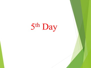 5th Day
 