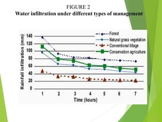 FIGURE 2
Water infiltration under different types of management
 