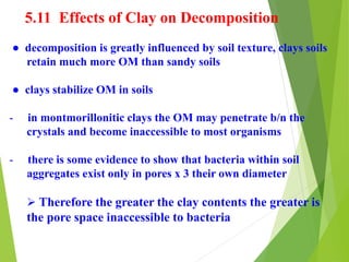 5.11 Effects of Clay on Decomposition
● decomposition is greatly influenced by soil texture, clays soils
retain much more OM than sandy soils
● clays stabilize OM in soils
- in montmorillonitic clays the OM may penetrate b/n the
crystals and become inaccessible to most organisms
- there is some evidence to show that bacteria within soil
aggregates exist only in pores x 3 their own diameter
 Therefore the greater the clay contents the greater is
the pore space inaccessible to bacteria
 