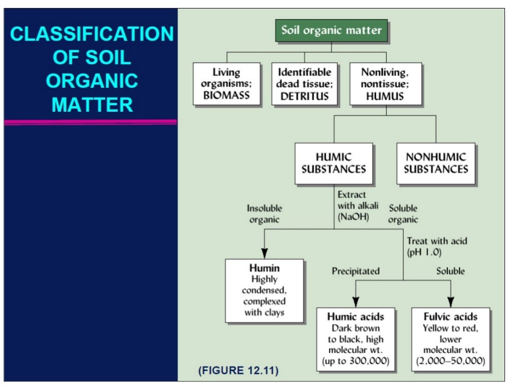 Soil organic matter pkm