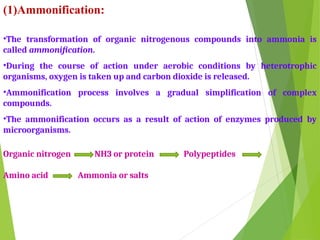 Soil organic matter USS 101.ppt............................ | PPT