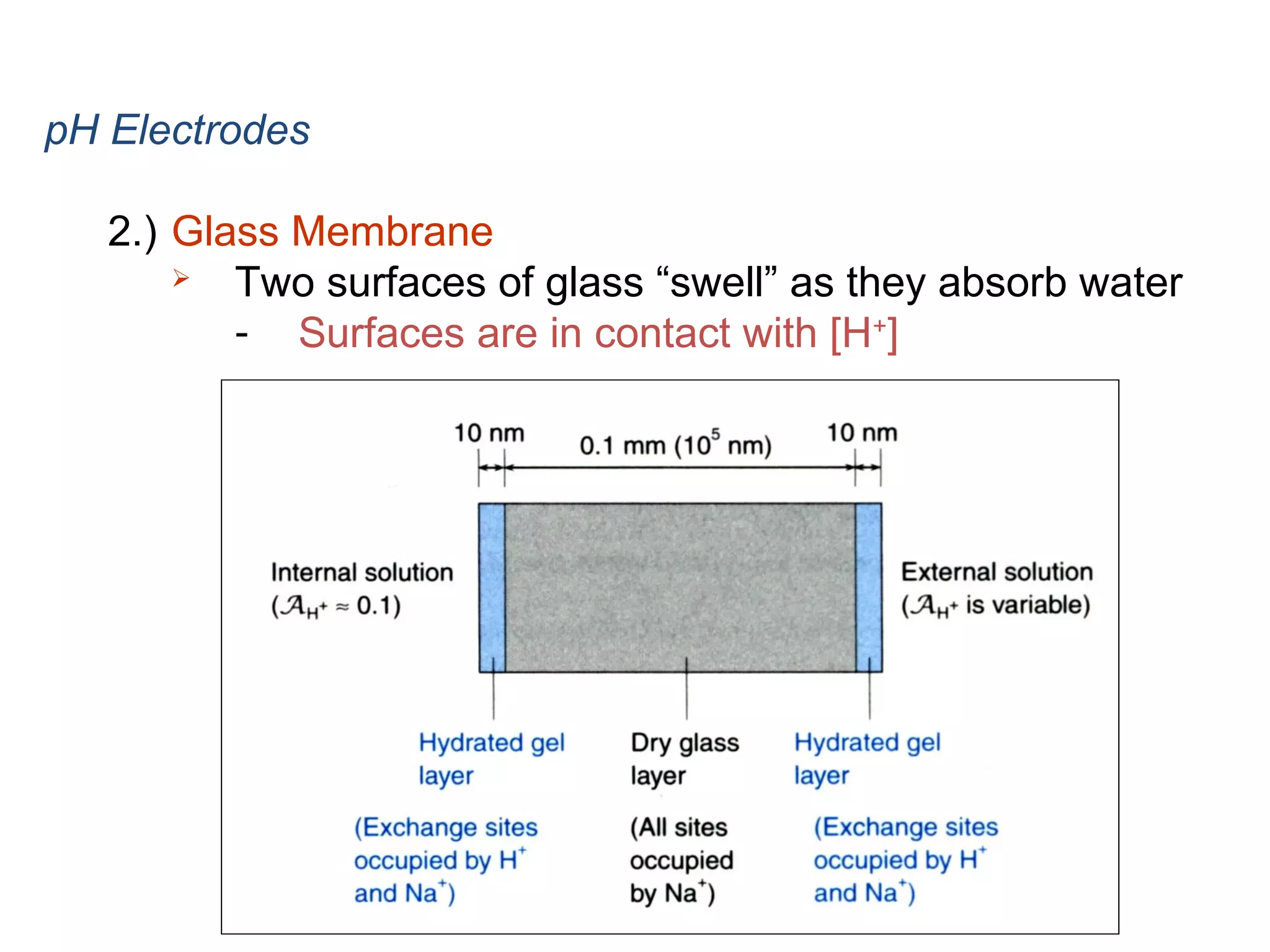 pH Electrodes
2.) Glass Membrane

Two surfaces of glass “swell” as they absorb water
- Surfaces are in contact with [H+]

 