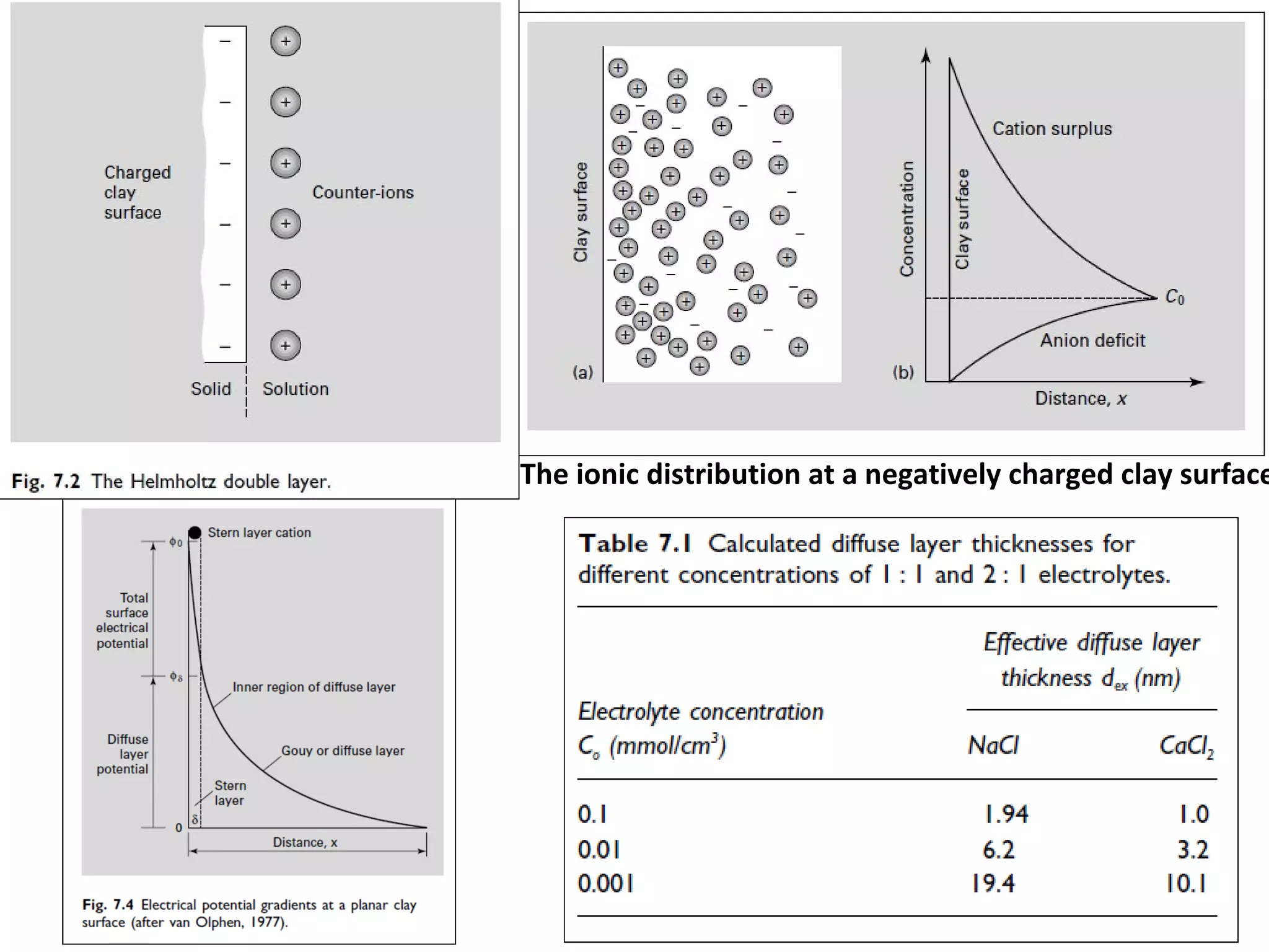 The ionic distribution at a negatively charged clay surface

 