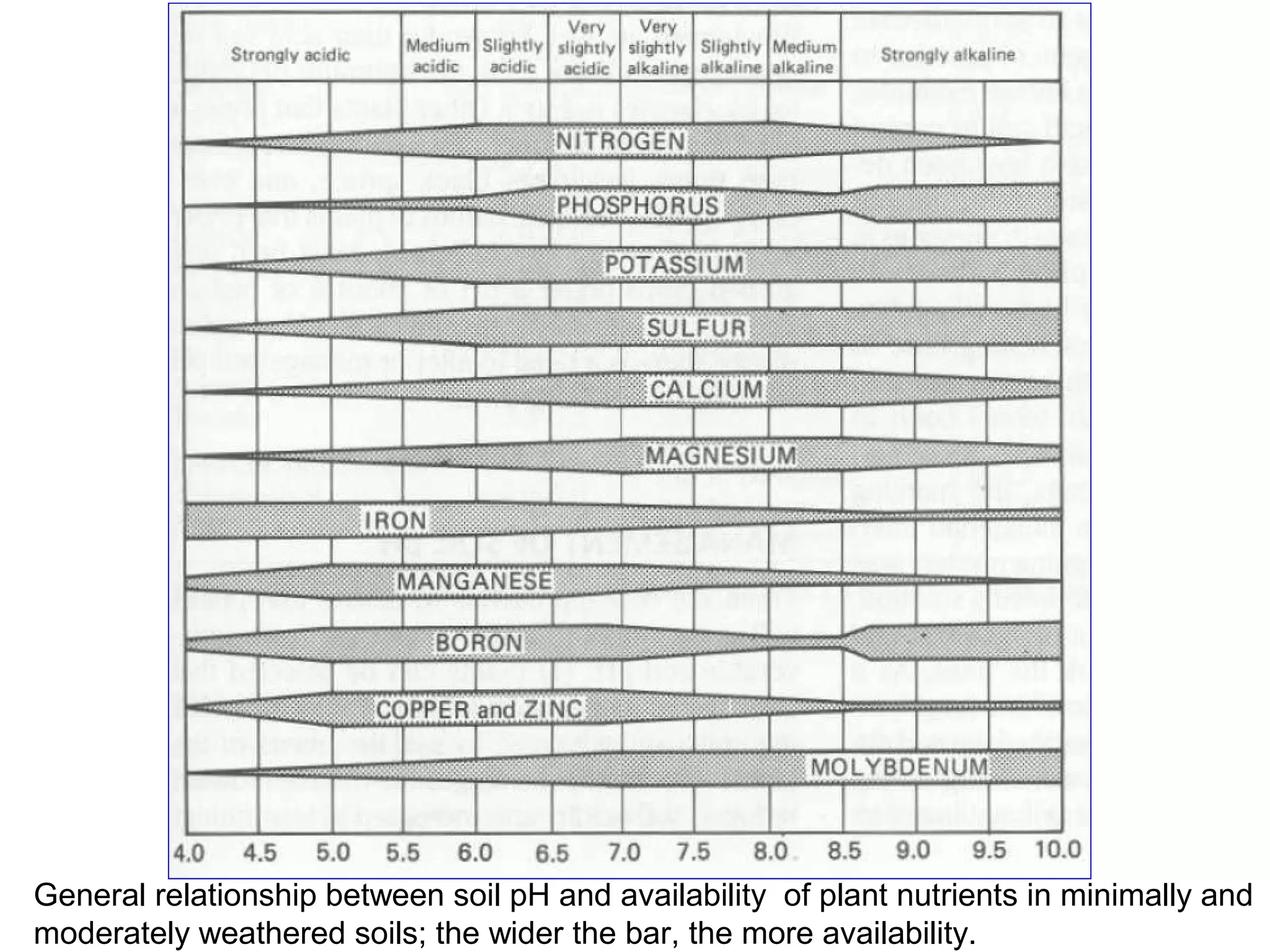 General relationship between soil pH and availability of plant nutrients in minimally and
moderately weathered soils; the wider the bar, the more availability.

 