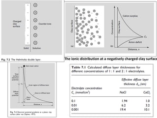 The ionic distribution at a negatively charged clay surface

 