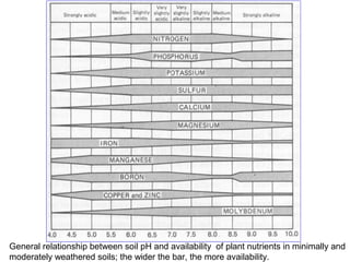 General relationship between soil pH and availability of plant nutrients in minimally and
moderately weathered soils; the wider the bar, the more availability.

 