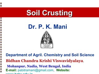 Soil Crusting
Dr. P. K. Mani

Department of Agril. Chemistry and Soil Science
Bidhan Chandra Krishi Viswavidyalaya,
Mohanpur, Nadia, West Bengal, India
E-mail: pabitramani@gmail.com, Website:
Copyright© Markus Tuller and Dani Or2002-2004

 