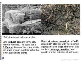 Soil structure at extreme scales.
Left: textural porosity in the clay
mineral kaolinite. The scale bar is
0.004 mm. Many of the pores visible
are small enough to retain water that
is not available to plants.

Right: structural porosity in a “selfmulching” clay soil with well-defined
aggregates and large pores that play
a role in drainage, aeration, root
growth and the activities of soil fauna.

Copyright© Markus Tuller and Dani Or2002-2004

 