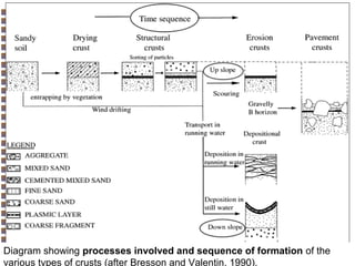 Diagram showing processes involved and sequence of formation of the
various types of crusts (after Bresson and Valentin, 1990).

Copyright© Markus Tuller and Dani Or2002-2004

 
