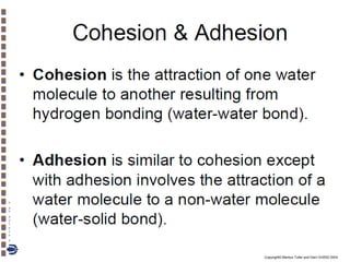 Copyright© Markus Tuller and Dani Or2002-2004

 