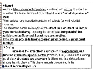 Runoff
results in lateral movement of particles, combined with sorting. It favors the
formation of a dense, laminated crust referred to as a "runoff depositional"
crust.
When surface roughness decreases, runoff velocity (or wind velocity)
increases.
The one or two sandy microlayers of the Structural 2 or Structural 3 crust
types are washed away, exposing the denser seal composed of fine
particles, or the Structural 1 crust may be smoothed.
If the process proceeds leaving coarser gravel behind, a gravel crust
develops.
Drying
increases the strength of a surface crust exponentially as a
function of decreasing water content (Valentin, 1986). Cracks and a curling
up of platy structures can occur due to differences in shrinkage forces
among the microlayers. This phenomenon is pronounced in the
case of sedimentary crusts.
Copyright© Markus Tuller and Dani Or2002-2004

 