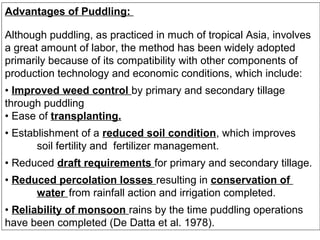 Advantages of Puddling:
Although puddling, as practiced in much of tropical Asia, involves
a great amount of labor, the method has been widely adopted
primarily because of its compatibility with other components of
production technology and economic conditions, which include:
• Improved weed control by primary and secondary tillage
through puddling
• Ease of transplanting.
• Establishment of a reduced soil condition, which improves
soil fertility and fertilizer management.
• Reduced draft requirements for primary and secondary tillage.
• Reduced percolation losses resulting in conservation of
water from rainfall action and irrigation completed.
• Reliability of monsoon rains by the time puddling operations
have been completed (De Datta et al. 1978).

 