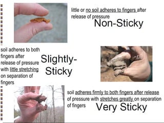 little or no soil adheres to fingers after
release of pressure

soil adheres to both
fingers after
release of pressure
with little stretching
on separation of
fingers
soil adheres firmly to both fingers after release
of pressure with stretches greatly on separation
of fingers
Copyright© Markus Tuller and Dani Or2002-2004

 