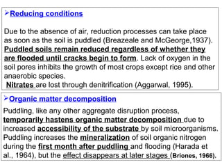 Reducing conditions
Due to the absence of air, reduction processes can take place
as soon as the soil is puddled (Breazeale and McGeorge,1937).
Puddled soils remain reduced regardless of whether they
are flooded until cracks begin to form. Lack of oxygen in the
soil pores inhibits the growth of most crops except rice and other
anaerobic species.
Nitrates are lost through denitrification (Aggarwal, 1995).
Organic matter decomposition
Puddling, like any other aggregate disruption process,
temporarily hastens organic matter decomposition due to
increased accessibility of the substrate by soil microorganisms.
Puddling increases the mineralization of soil organic nitrogen
during the first month after puddling and flooding (Harada et
al., 1964), but the effect disappears at later stages (Briones, 1966).

 
