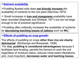Nutrient availability
Puddling flooded soils does not directly increase the
availability of nutrients to the rice plant (Sanchez,1973)
 Small increases in iron and manganese availability have
been recorded (Naphade and Ghildyal, 1971) but are not large
enough to be of practical significance.
Puddling often indirectly increases the availability of nutrients
by decreasing leaching losses of cations such as NH4+
Effects of puddling on crop growth:
The effects of puddling on crops other than rice are clearly
detrimental (McGeorge and Breazeale, 1938).
For rice, puddling is considered advantageous because it
facilitates land leveling, permits the farmers to work the soil
regardless of moisture status, reduces initial weed infestations,
and, most important, decreases water and leaching losses.

 