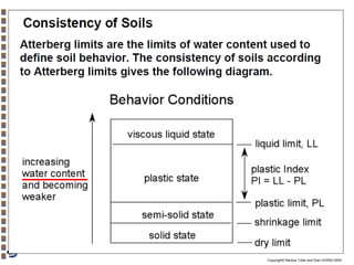 Copyright© Markus Tuller and Dani Or2002-2004

 