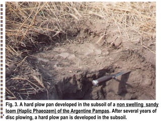 Fig. 3. A hard plow pan developed in the subsoil of a non swelling sandy
loam (Haplic Phaeozem) of the Argentine Pampas. After several years of
disc plowing, a hard plow pan is developed in the subsoil.
Copyright© Markus Tuller and Dani Or2002-2004

 