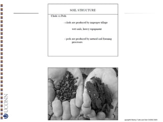 Copyright© Markus Tuller and Dani Or2002-2004

 