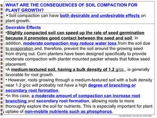 WHAT ARE THE CONSEQUENCES OF SOIL COMPACTION FOR
PLANT GROWTH?
Soil compaction can have both desirable and undesirable effects on
plant growth.
Desirable Effects
•Slightly compacted soil can speed up the rate of seed germination
because it promotes good contact between the seed and soil. In
addition, moderate compaction may reduce water loss from the soil due
to evaporation and, therefore, prevent the soil around the growing seed
from drying out. Corn planters have been designed specifically to provide
moderate compaction with planter mounted packer wheels that follow seed
placement.
•A medium-textured soil, having a bulk density of 1.2 g/cc , is generally
favorable for root growth.
• However, roots growing through a medium-textured soil with a bulk density
near 1.2 g/cc will probably not have a high degree of branching or
secondary root formation.
•In this case, a moderate amount of compaction can increase root
branching and secondary root formation, allowing roots to more
thoroughly explore the soil for nutrients. This is especially important for plant
uptake of non-mobile nutrients such as phosphorus.
Copyright© Markus Tuller and Dani Or2002-2004

 