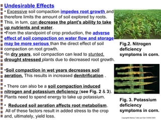 Undesirable Effects
• Excessive soil compaction impedes root growth and
therefore limits the amount of soil explored by roots.
This, in turn, can decrease the plant's ability to take
up nutrients and water.
•From the standpoint of crop production, the adverse
effect of soil compaction on water flow and storage
may be more serious than the direct effect of soil
compaction on root growth.
•In dry years, soil compaction can lead to stunted,
drought stressed plants due to decreased root growth.

Fig.2. Nitrogen
deficiency
symptoms in corn.

•Soil compaction in wet years decreases soil
aeration. This results in increased denitrification .
• There can also be a soil compaction induced
nitrogen and potassium deficiency (see Fig. 2 & 3).
Plants need to spend energy to take up potassium.
• Reduced soil aeration affects root metabolism.
All of these factors result in added stress to the crop
and, ultimately, yield loss.

Fig. 3. Potassium
deficiency
symptoms in corn.
Copyright© Markus Tuller and Dani Or2002-2004

 