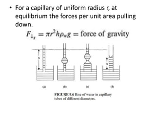 • For a capillary of uniform radius r, at
equilibrium the forces per unit area pulling
down.
 