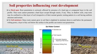 soilplantandplantwaterrelations.pptxqwetzu | PPTX