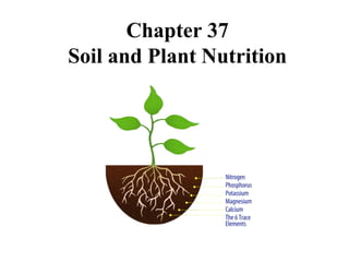 Soil+&+Plant+Nutrition.pdf