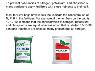 Soil+&+Plant+Nutrition.pdf