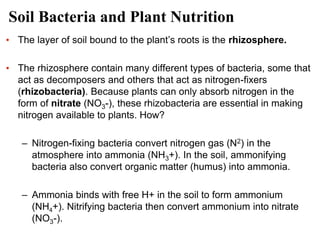 Soil+&+Plant+Nutrition.pdf