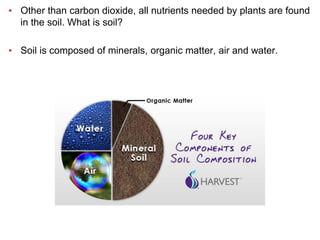 Soil+&+Plant+Nutrition.pdf
