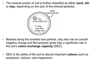 Soil+&+Plant+Nutrition.pdf