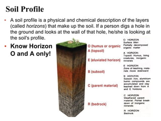 Soil+&+Plant+Nutrition.pdf