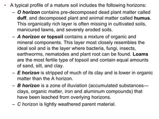 Soil+&+Plant+Nutrition.pdf