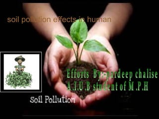 soil pollution effects in human
 