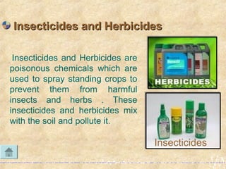Insecticides and Herbicides are
poisonous chemicals which are
used to spray standing crops to
prevent them from harmful
insects and herbs . These
insecticides and herbicides mix
with the soil and pollute it.
Insecticides and HerbicidesInsecticides and Herbicides
Insecticides
 