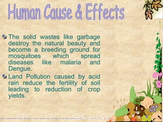 The solid wastes like garbage
destroy the natural beauty and
become a breeding ground for
mosquitoes which spread
diseases like malaria and
Dengue.
Land Pollution caused by acid
rain reduce the fertility of soil
leading to reduction of crop
yields.
 