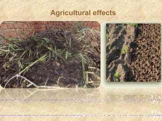 Agricultural effects
 