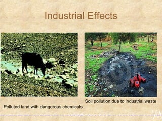 Industrial Effects
Polluted land with dangerous chemicals
Soil pollution due to industrial waste
 