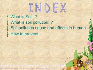 What is Soil..?
What is soil pollution..?
Soli pollution cause and effects in human
How to prevent…
 