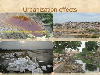 Urbanization effects
Contamination of soil due to waste water
 