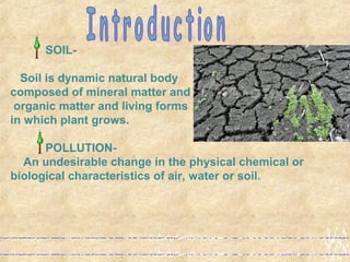 SOIL-
Soil is dynamic natural body
composed of mineral matter and
organic matter and living forms
in which plant grows.
POLLUTION-
An undesirable change in the physical chemical or
biological characteristics of air, water or soil.
 