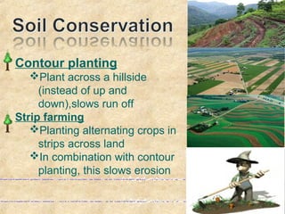 Contour planting
Plant across a hillside
(instead of up and
down),slows run off
Strip farming
Planting alternating crops in
strips across land
In combination with contour
planting, this slows erosion
 