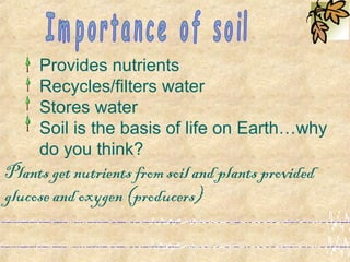 Provides nutrients
Recycles/filters water
Stores water
Soil is the basis of life on Earth…why
do you think?
Plants get nutrients from soil and plants provided
glucose and oxygen (producers)
 
