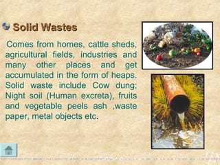Comes from homes, cattle sheds,
agricultural fields, industries and
many other places and get
accumulated in the form of heaps.
Solid waste include Cow dung;
Night soil (Human excreta), fruits
and vegetable peels ash ,waste
paper, metal objects etc.
Solid WastesSolid Wastes
 
