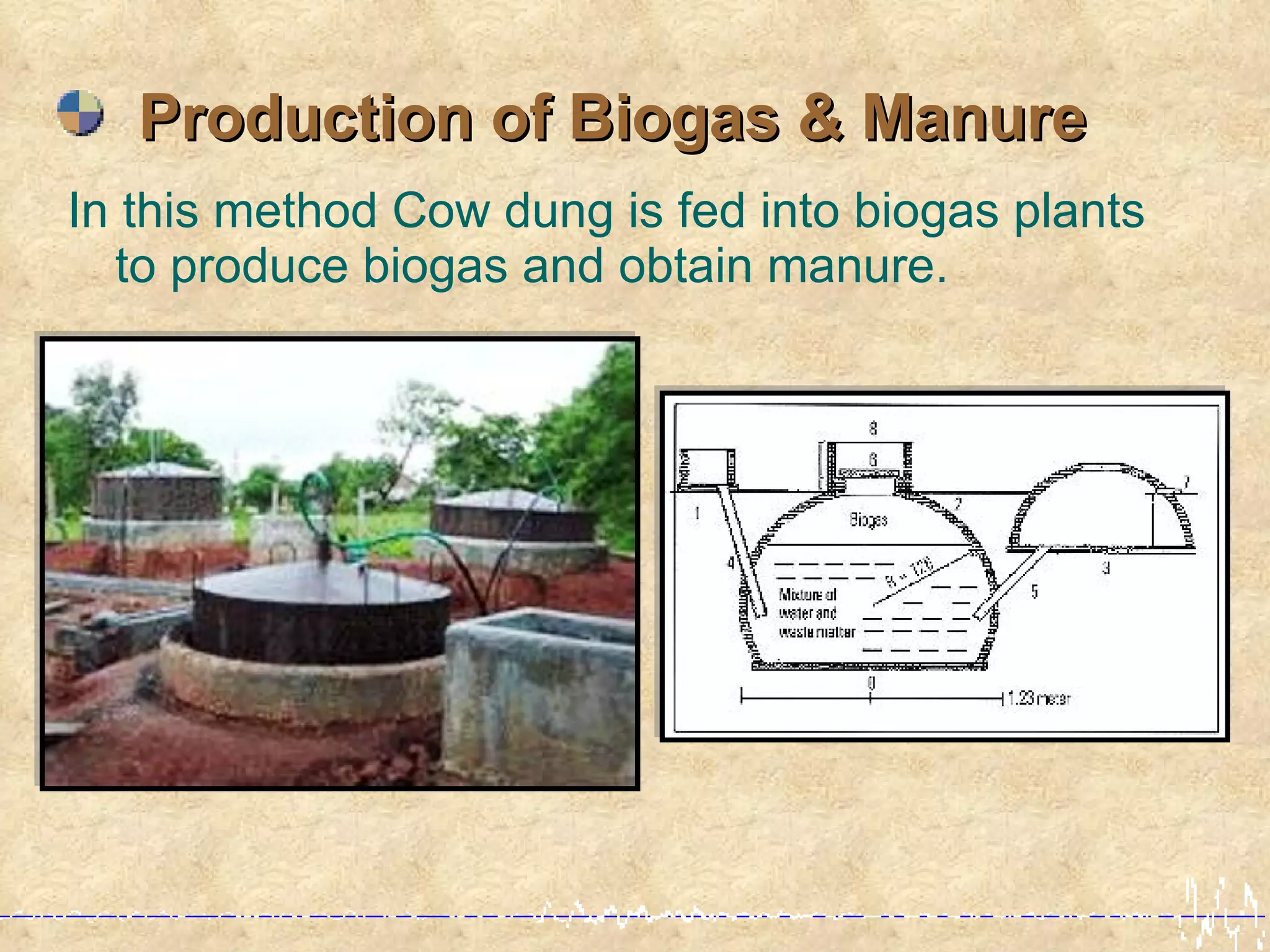 Production of Biogas & Manure
In this method Cow dung is fed into biogas plants
  to produce biogas and obtain manure.
 