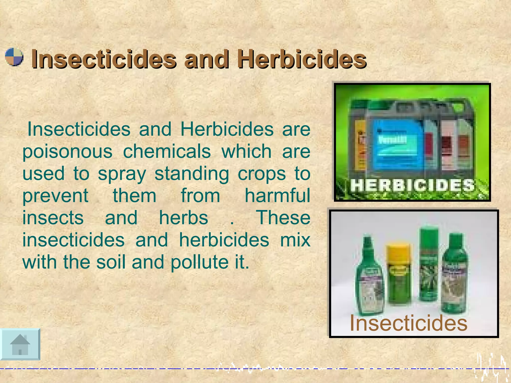Insecticides and Herbicides

 Insecticides and Herbicides are
poisonous chemicals which are
used to spray standing crops to
prevent them from harmful
insects and herbs . These
insecticides and herbicides mix
with the soil and pollute it.


                                   Insecticides
 