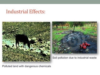 Industrial Effects:




                                         Soil pollution due to industrial waste


Polluted land wi...
